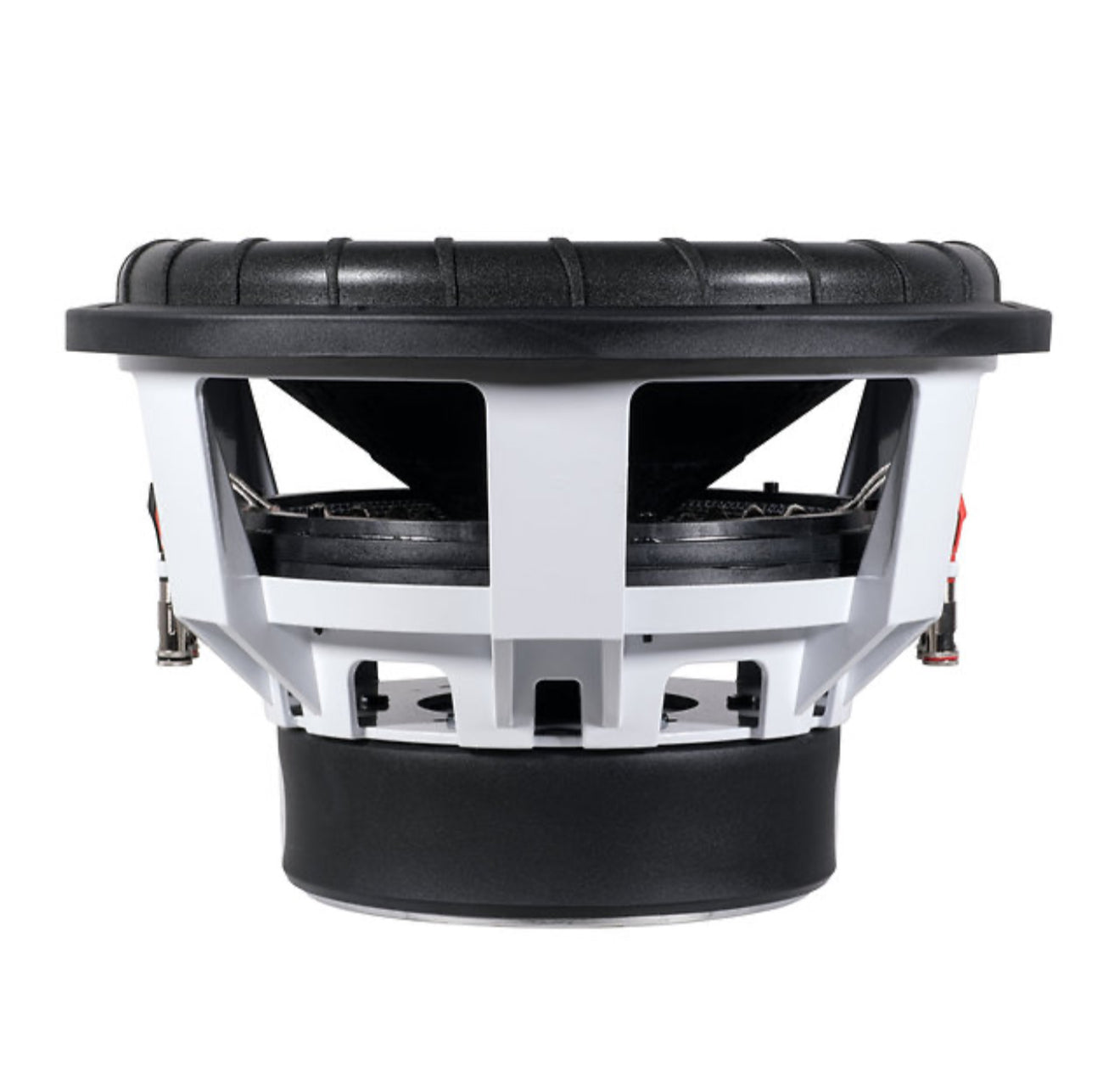 Wild 15 with Dyeable Cone D4