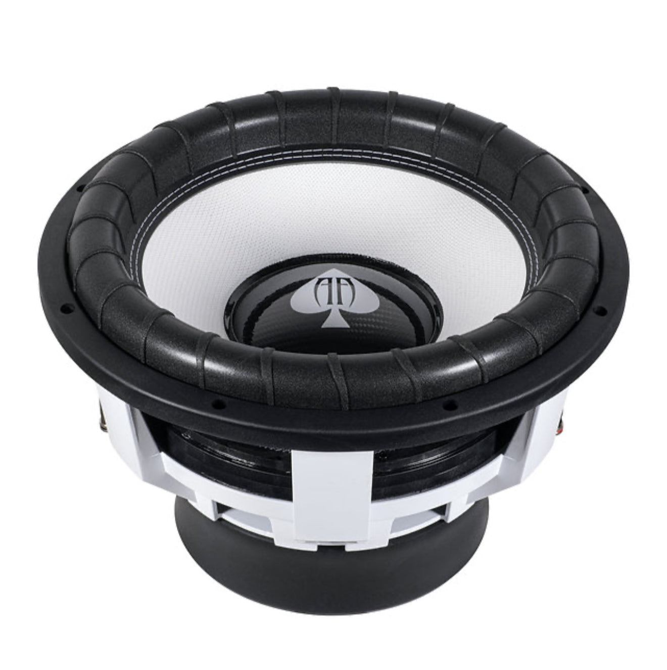 Wild 15 with Dyeable Cone D4