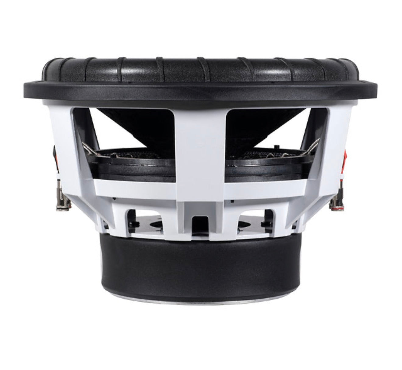 Wild 12 with Dyeable Cone D4